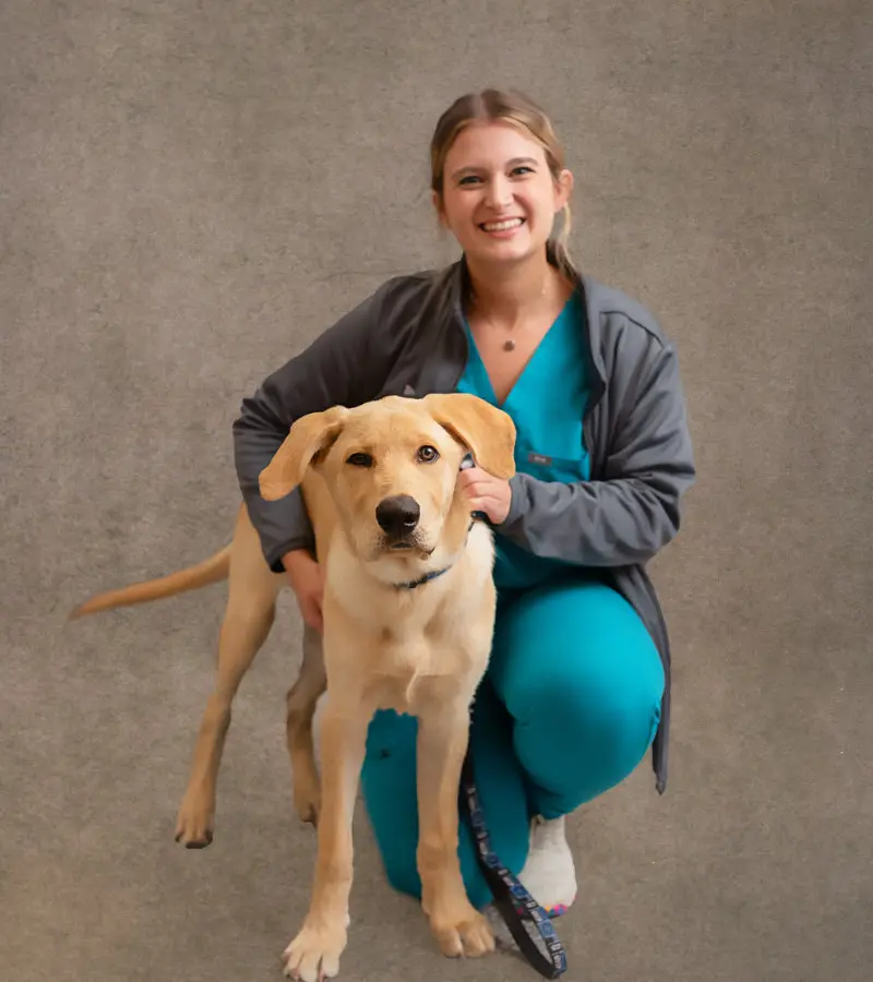 veterinarian in harker height tx