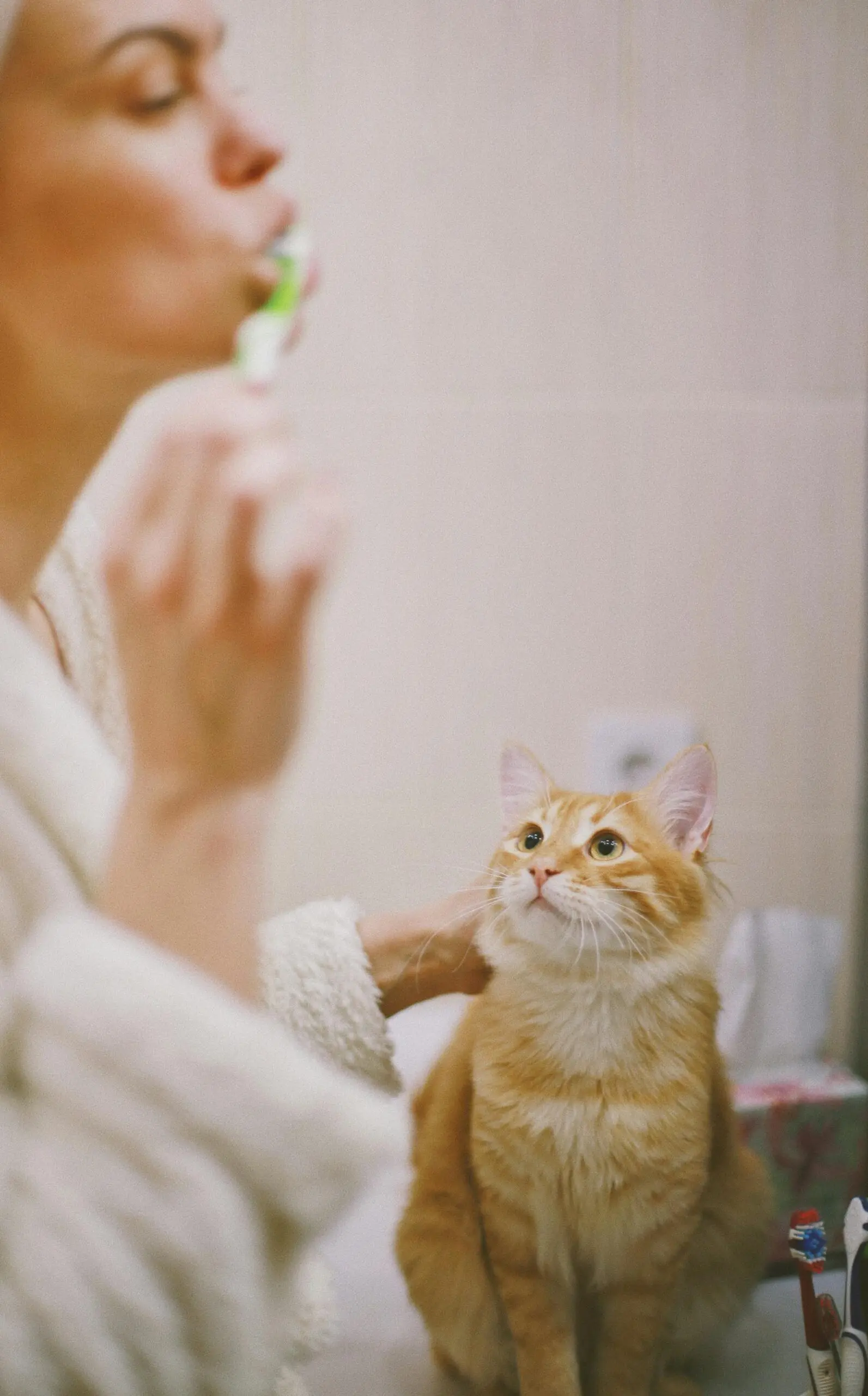 An orange cat is staring at their owner while she brushes her teeth.